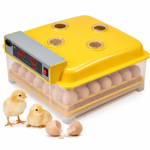 Automatische inkubator - automatische,