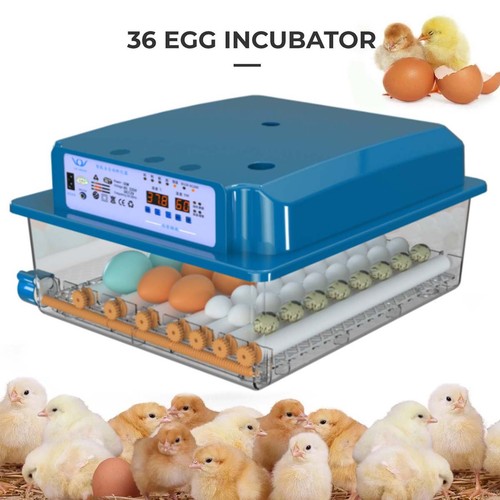 Vollautomatisch inkubator - vollautomatisch,