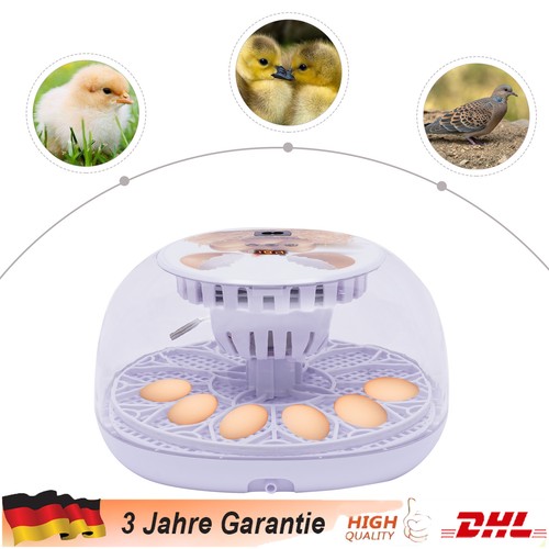 Eier inkubator - 12,