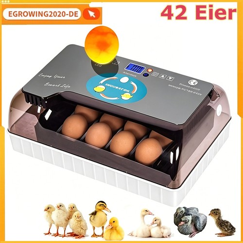 Eier vollautomatische - eier,