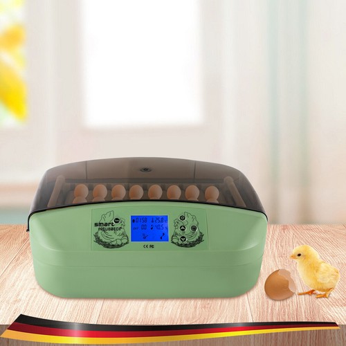 Eier vollautomatisch - 32,