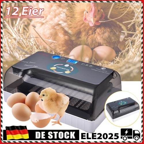 Eier vollautomatische - 12,