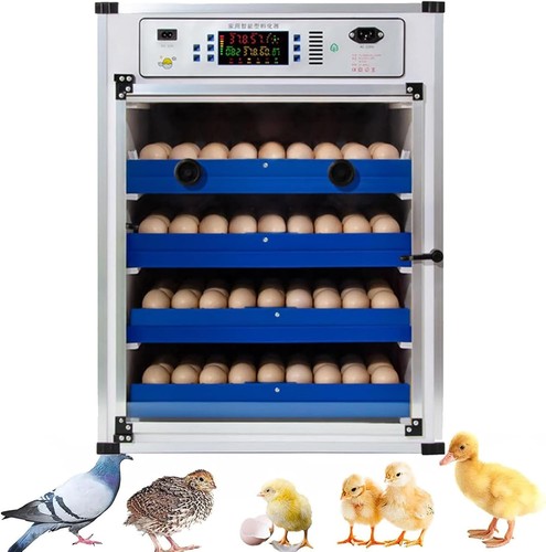 Inkubator brutautomat 340 - inkubator,