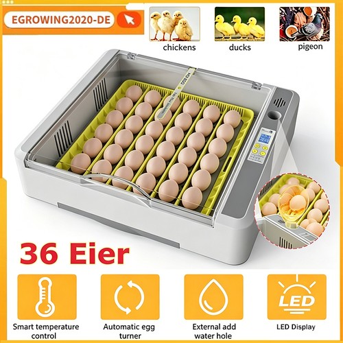 Eier vollautomatische - 36,