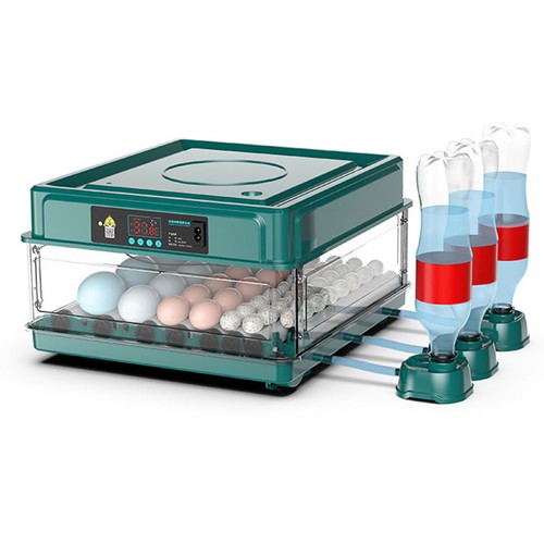 Eier brutautomat - eier,