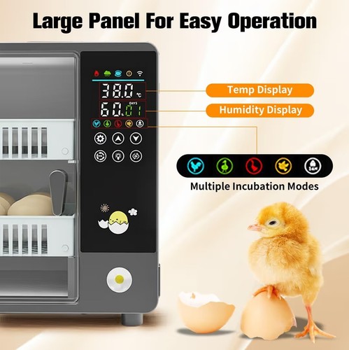 Eier inkubator automatische - eier,