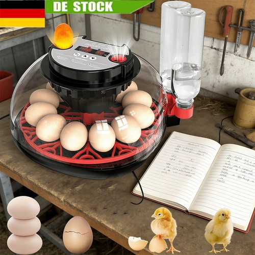 Eier vollautomatische - eier,