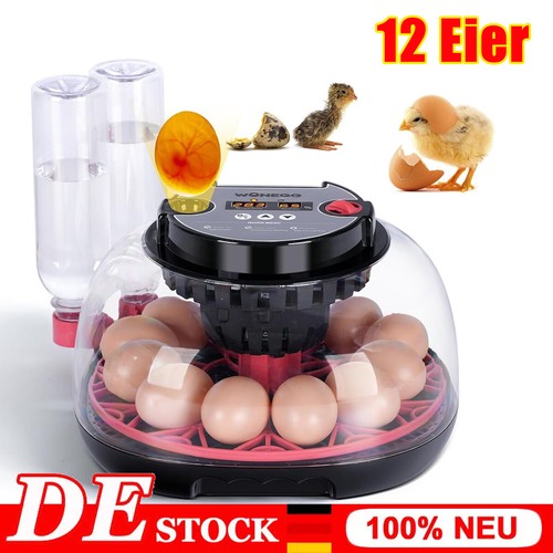 Eier vollautomatische - 12,