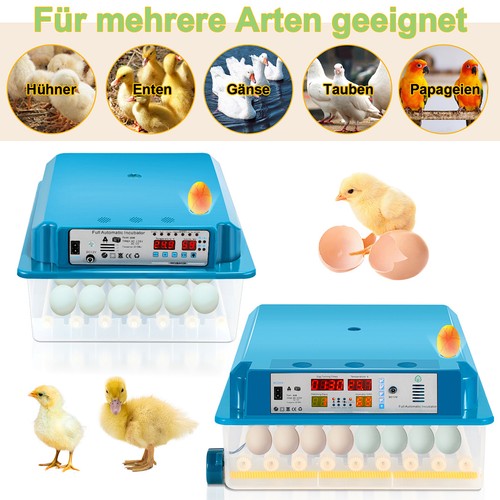 Brutmaschine brutapparat - brutmaschine,
