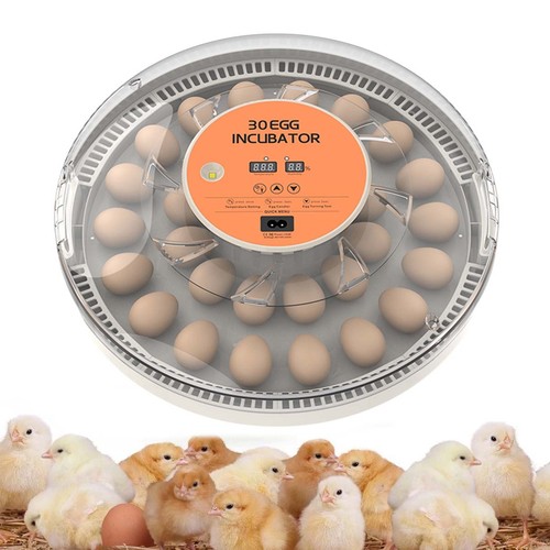 Eier brutautomat - 30,