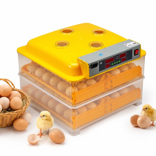 Eier brutapparat geflügel - brutapparat,