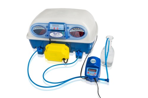 Borotto real expert - 24,