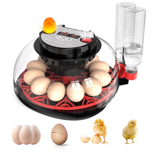 Vollautomatisch inkubator - vollautomatisch,