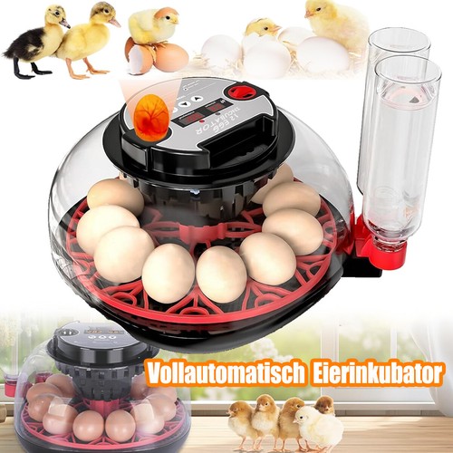 Inkubator brutkasten - inkubator,