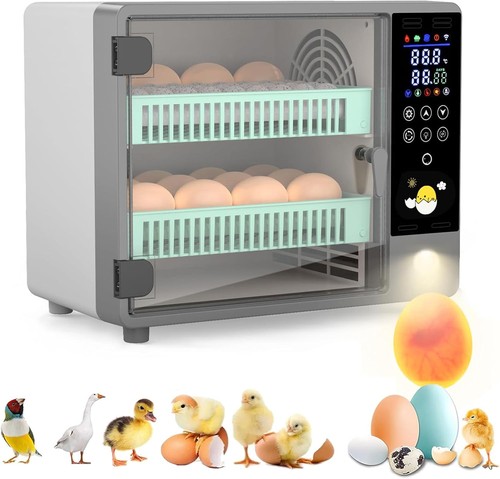 Eier brutautomat - 24,