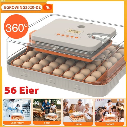 Eier vollautomatische - eier,