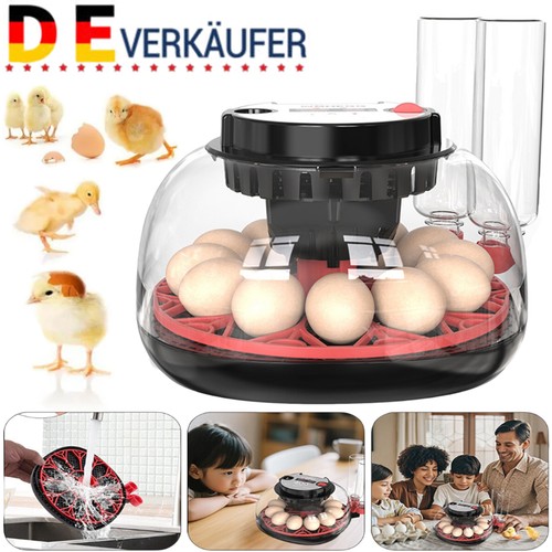 Eier inkubator brutkasten - 12,