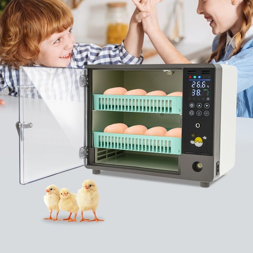 Vollautomatische brutmaschine - vollautomatische,