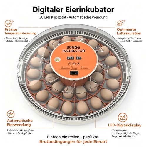 Eier vollautomatisch - 36/30,