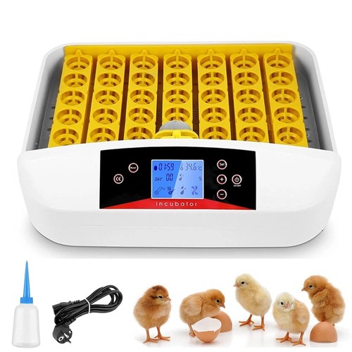 Eier inkubator brutmaschine - eier,