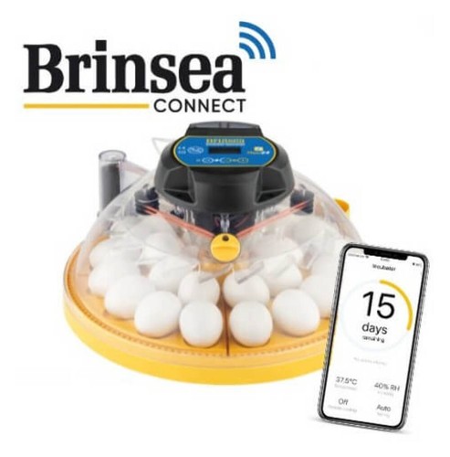 Maxi brutmaschine brinsea - maxi-brutmaschine, "brinsea